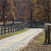 Denton Farm