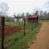 Horne Creek Historical Farm