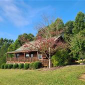 Log Cabin at Vineyard