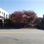 Lofts at Greensborough Court
