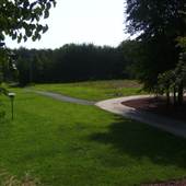 Paradise on Happy Hill
