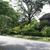 Washington Park