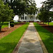 Willow Oaks Plantation