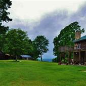 Single Tree Inn