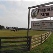 Flintrock Horse Farm