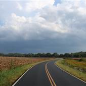 Country Road in Yadkin County Surrounded by Cornfields