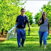 Rockingham County Apple Orchard