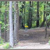 Triad Park