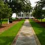 Willow Oaks Plantation