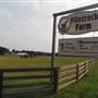 Flintrock Horse Farm
