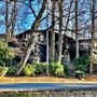 Mid Century Modern Home