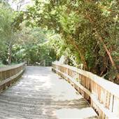 NC Zoo - Pathways