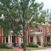 Winston-Salem Brownstones