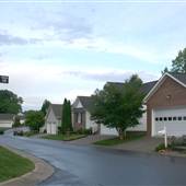Plantation Row