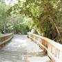 NC Zoo - Pathways