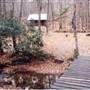 Surry County Camp