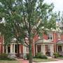 Winston-Salem Brownstones