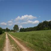 Over 100 Acres Farm with Lake