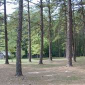 Battleground Cabin - Alamance Co.