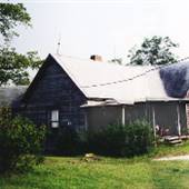 Candor Peach Farm