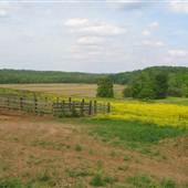 Deep Creek Farm