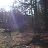 Big Loop Bike Trail