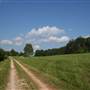 Over 100 Acres Farm with Lake