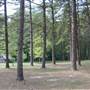 Battleground Cabin - Alamance Co.