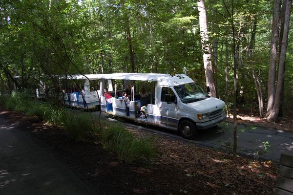 NC Zoo - Tram