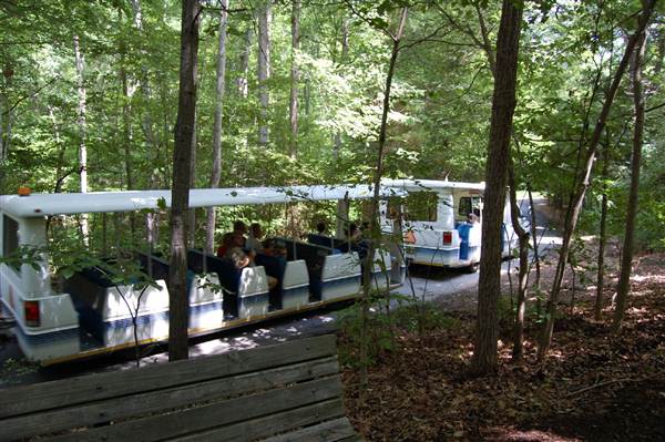 NC Zoo - Tram
