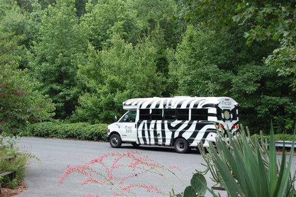 NC Zoo - Tram