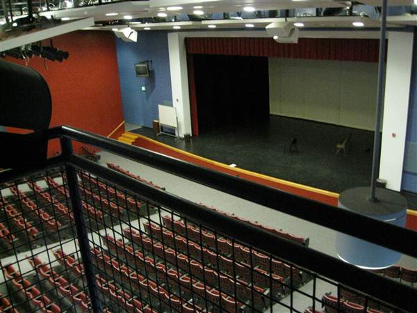 Reagan High School