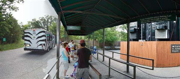 NC Zoo - Tram