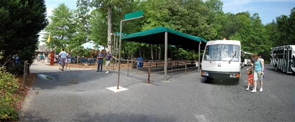 NC Zoo - Tram